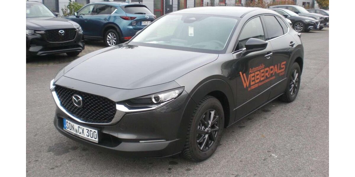 Mazda CX-30 2.500 km 25.690 &euro; Coburg 96450