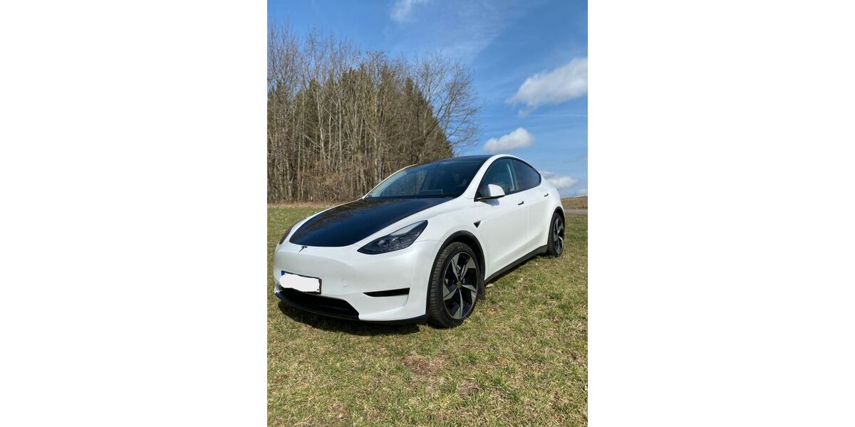 Tesla Model Y 74.000 km 29.300 &euro; Rimbach 64668