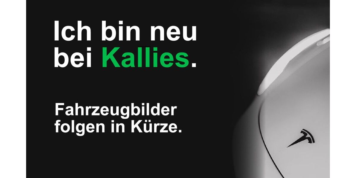 Tesla Model 3 49.059 km 31.990 &euro; Kretzschau OT Grana 06712