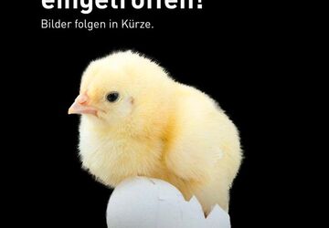 Smart #5 10.259 km 52.990 &euro; Neu-Ulm 89231