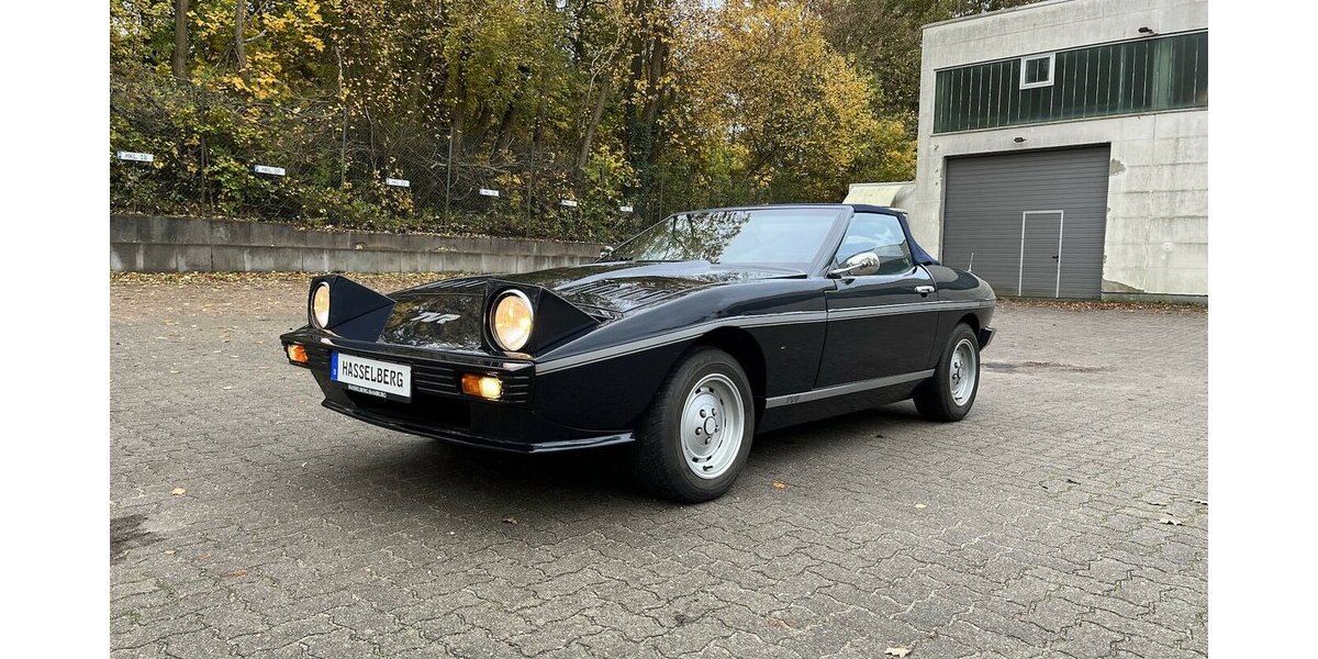 TVR Tasmin SCHNÄPPCHEN 132.000 km 9.999 &euro; Hamburg 22339