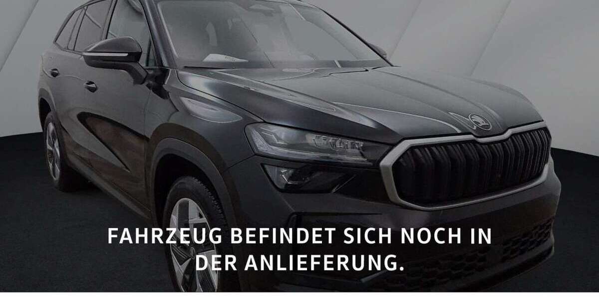 Skoda Kodiaq 16.500 km 46.980 &euro; Würzburg 97084