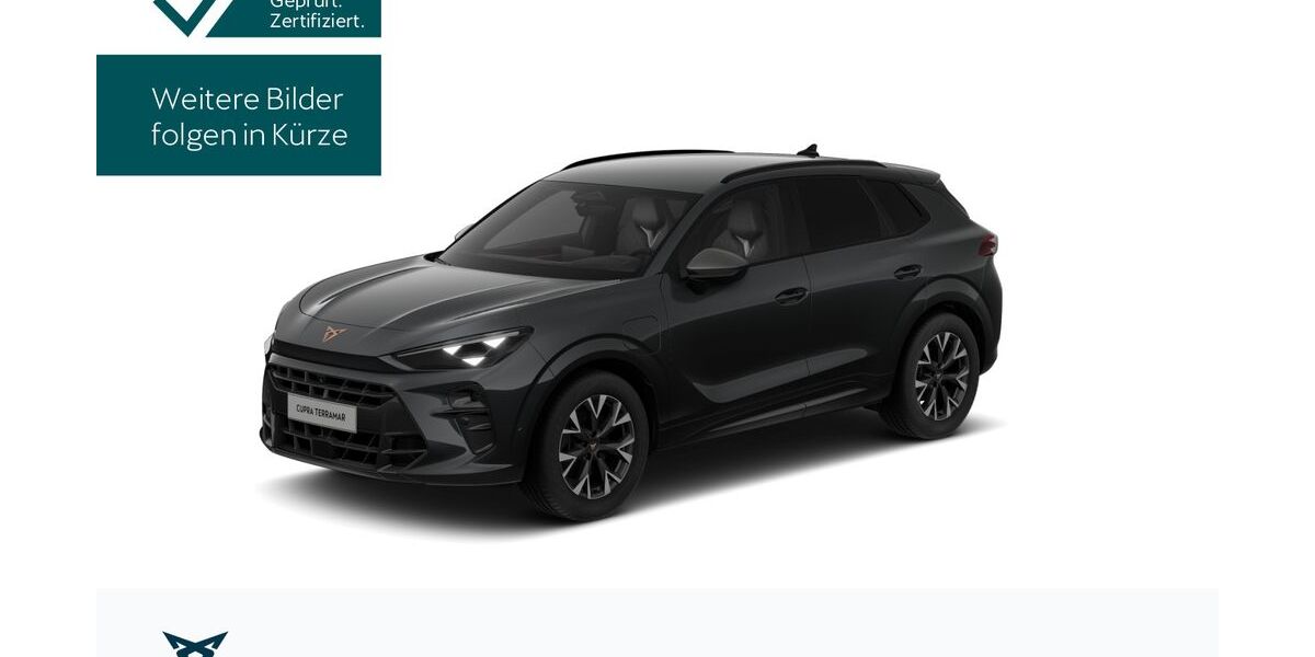 Cupra Terramar 16.330 km 37.990 &euro; Königstein/Ts. 61462