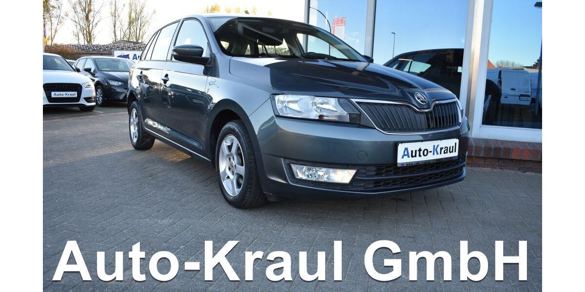 Skoda Rapid 164.070 km 7.599 &euro; Rehna 19217