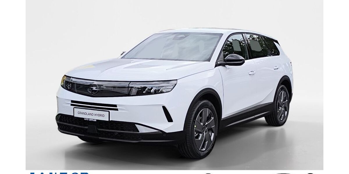 Opel Grandland (X) 1.363 km 31.980 &euro; Schweinfurt 97424