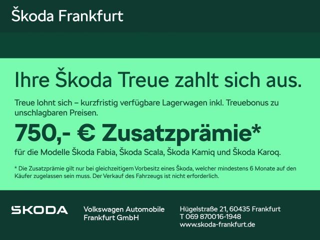 Skoda Karoq 6.000 km 31.480 &euro; Frankfurt 60435