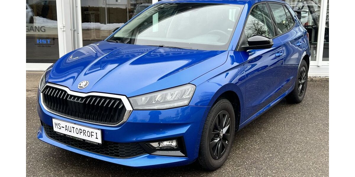 Skoda Fabia 27.301 km 17.390 &euro; Trossingen 78647