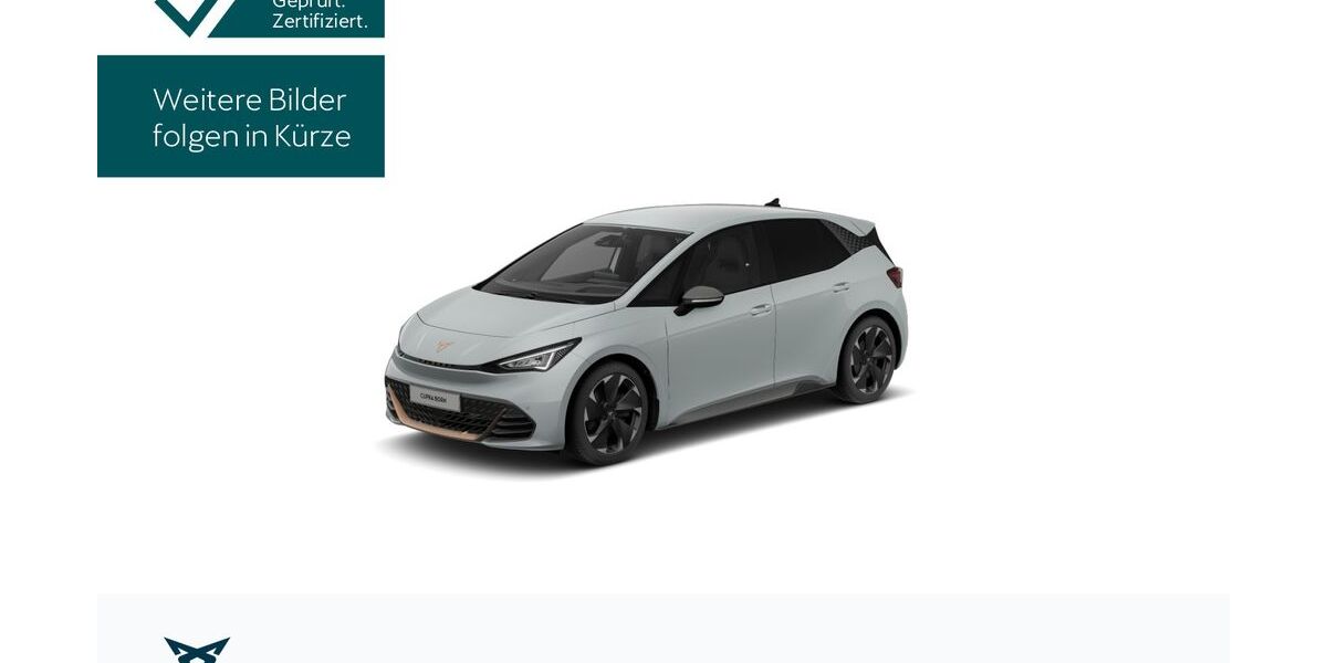 Cupra Born 22.026 km 33.430 &euro; Hofheim-Diedenbergen 65719