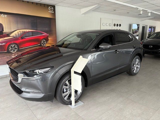 Mazda CX-30 3.816 km 32.400 &euro; Kreuztal 57223