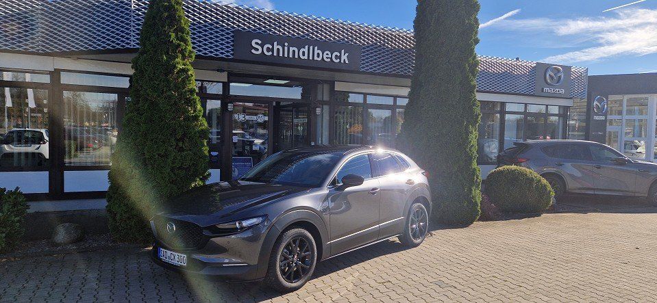 Mazda CX-30 2.293 km 30.750 &euro; Regensburg 93055