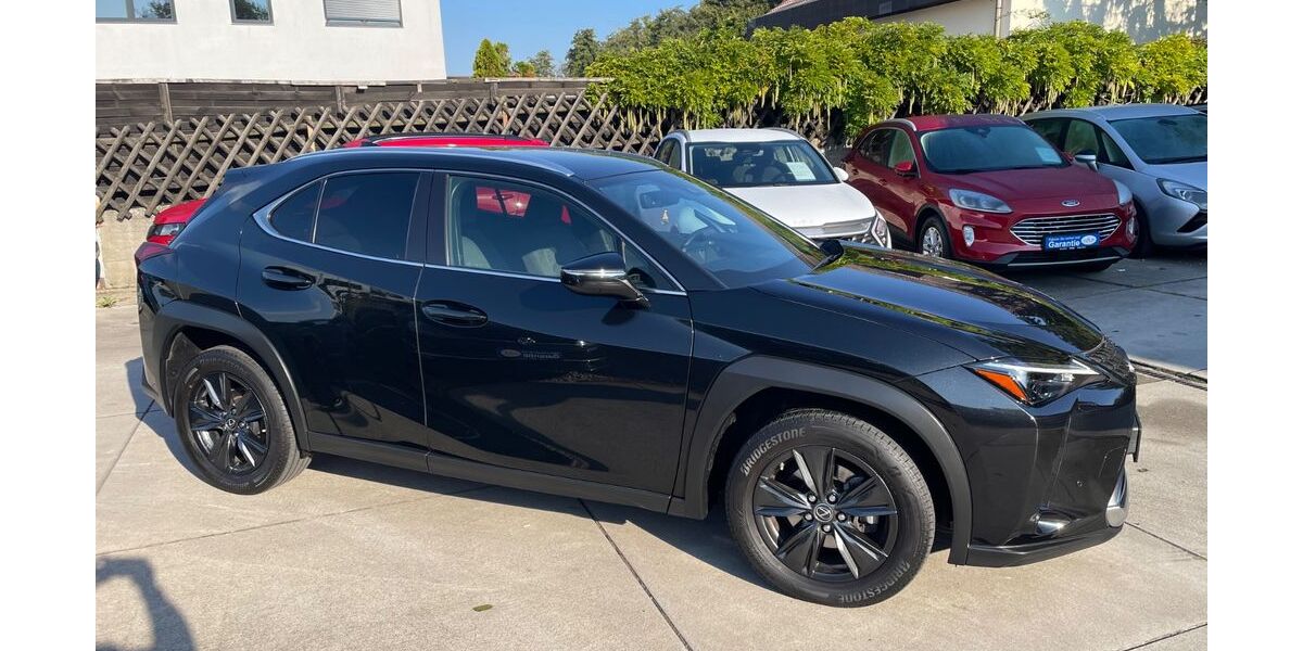 Lexus UX 30.000 km 27.999 &euro; Neuhofen 67141