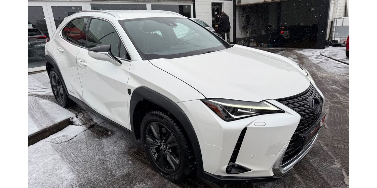 Lexus UX 119.000 km 19.490 &euro; Idar Oberstein 55743