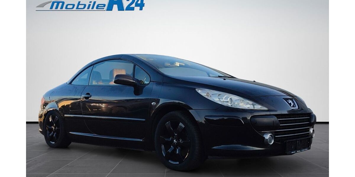 Peugeot 307 151.740 km 3.999 &euro; Wittenburg 19243