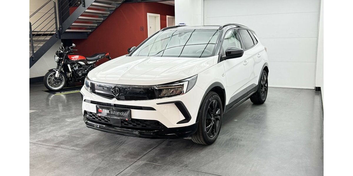 Opel Grandland 1.2 Turbo GS Line CarPlay Cam 35.140 km 16.830 &euro; Lich 35423