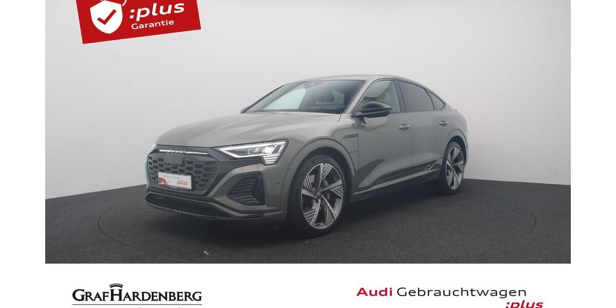 Audi Q8 e-tron 29.683 km 48.680 &euro; Karlsruhe 76131