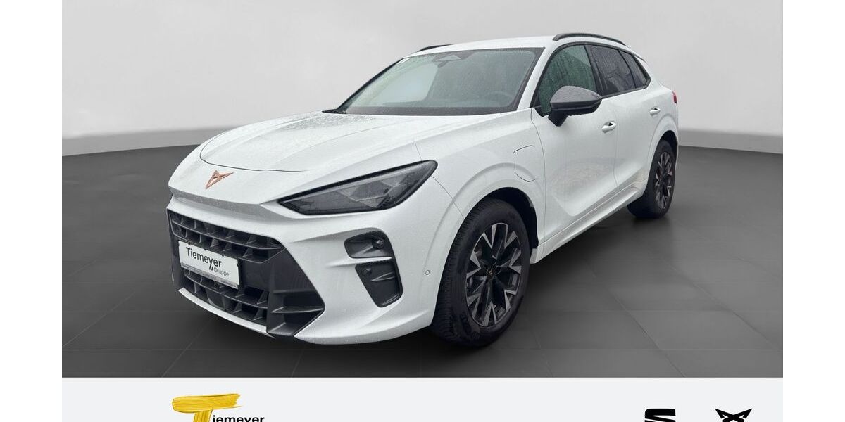 Cupra Terramar 18.480 km 37.590 &euro; Duisburg 47059