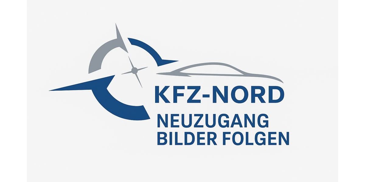 Renault Scenic 15.000 km 16.990 &euro; Neumünster 24536