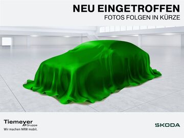 Gebrauchte Skoda Fabia