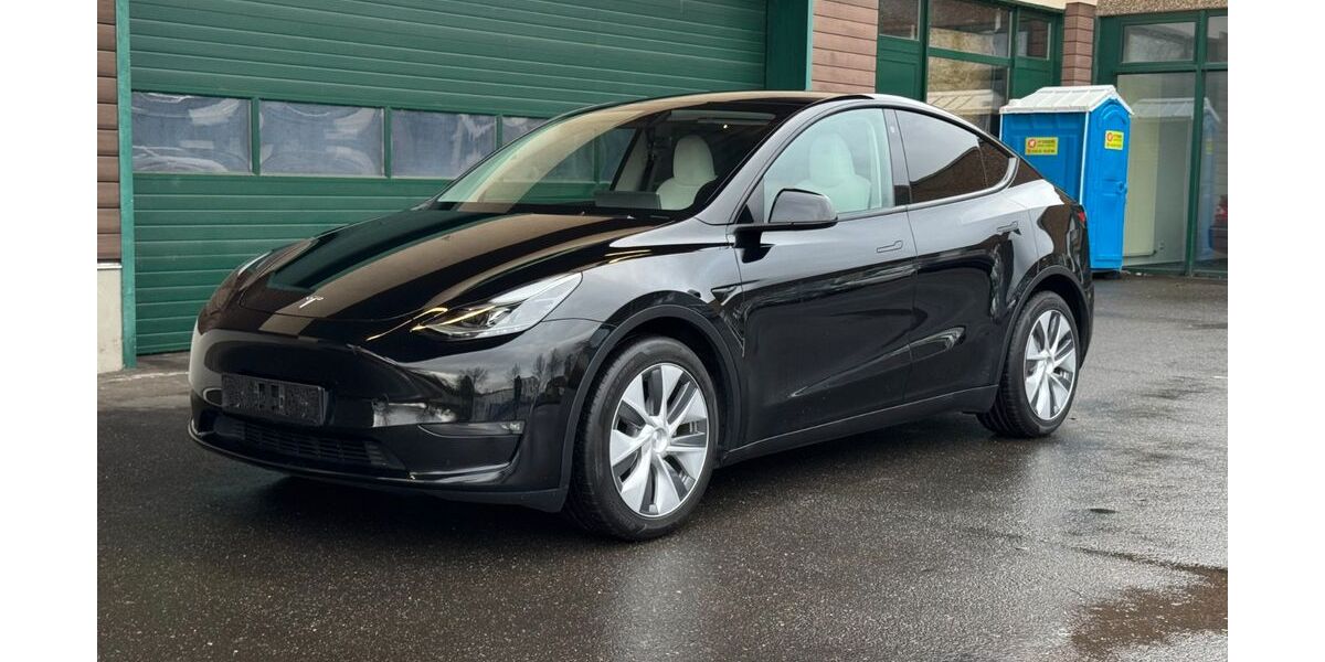 Tesla Model Y 76.690 km 33.490 &euro; Trier 54294