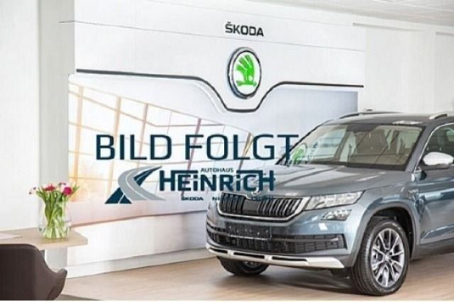 Skoda Scala 2.500 km 27.900 &euro; Dahnsdorf 14806