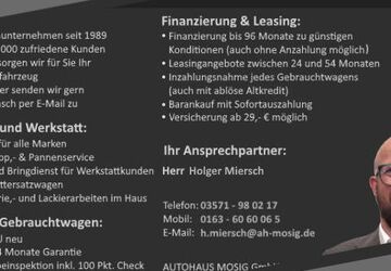 Renault Megane E-TECH 11.000 km 27.999 &euro; Hoyerswerda 02977