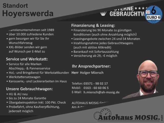 Renault Megane E-TECH 11.000 km 27.999 &euro; Hoyerswerda 02977