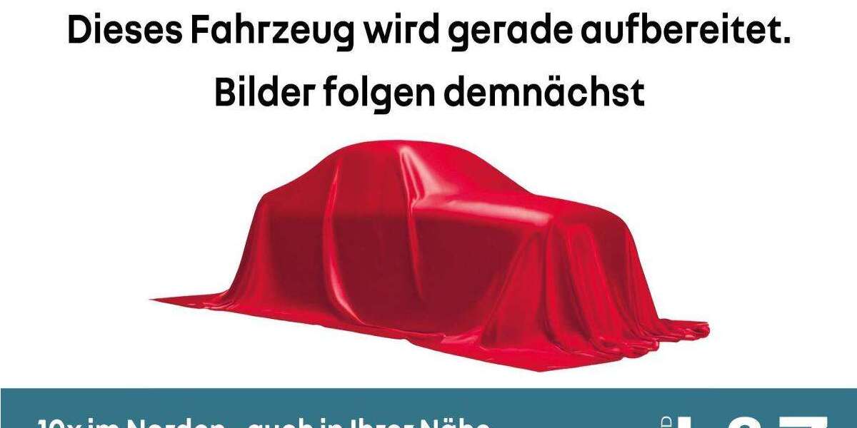 Renault ZOE 44.500 km 16.980 &euro; Bornhöved 24619