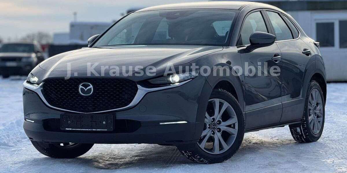 Mazda CX-3 95.263 km 19.990 &euro; Hammah 21714
