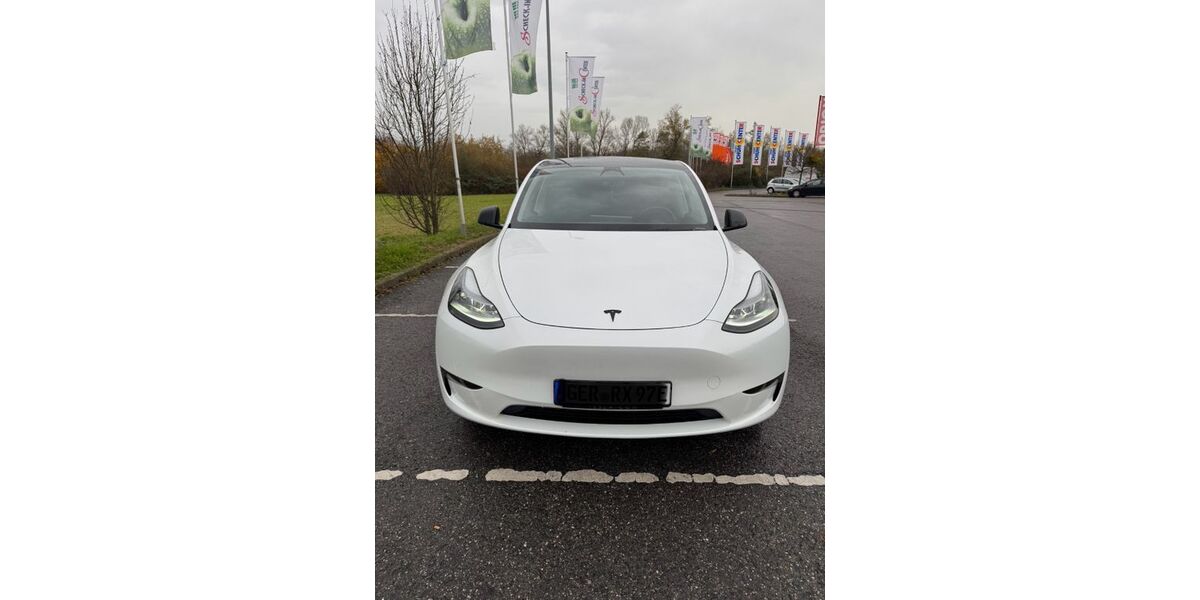 Tesla Model Y 45.000 km 34.899 &euro; Jockgrim 76751
