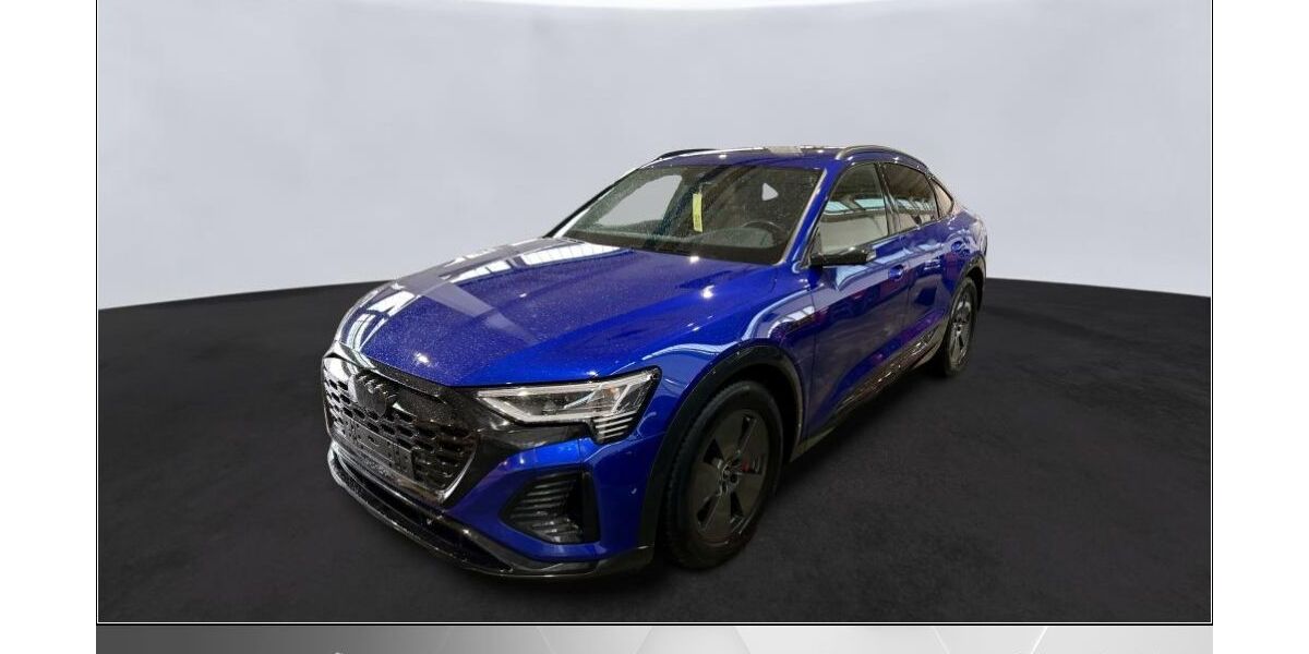 Audi Q8 e-tron 73.000 km 52.970 &euro; Helmstedt 38350