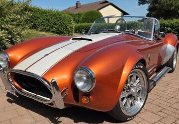 Cobra Andere 42.000 km 41.000 &euro; Lottstetten 79807