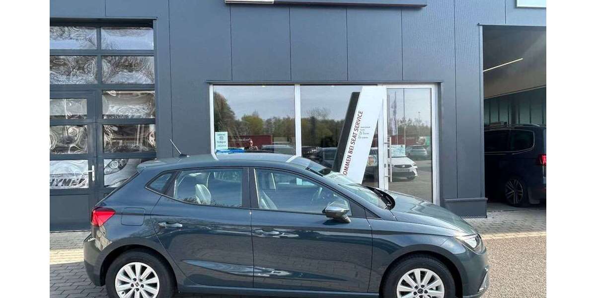 Seat Ibiza 1.500 km 18.620 &euro; Achern 77855