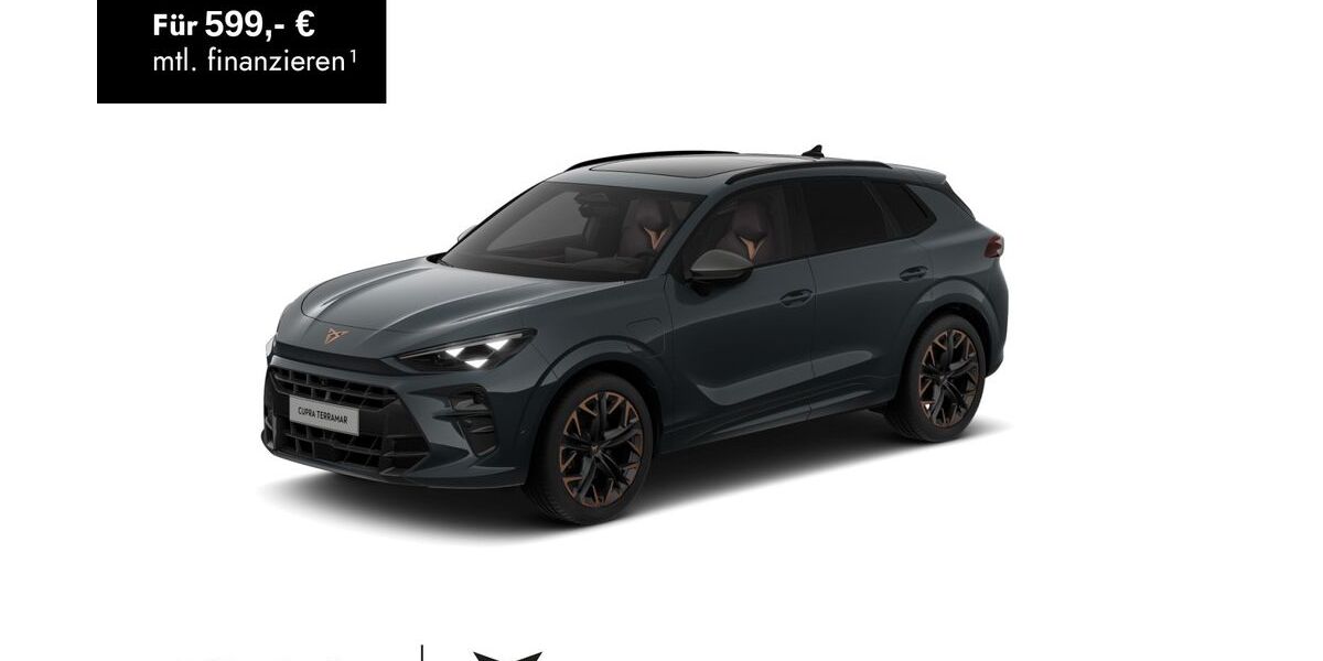Cupra Terramar 8.790 km 43.880 &euro; Lübbecke 32312