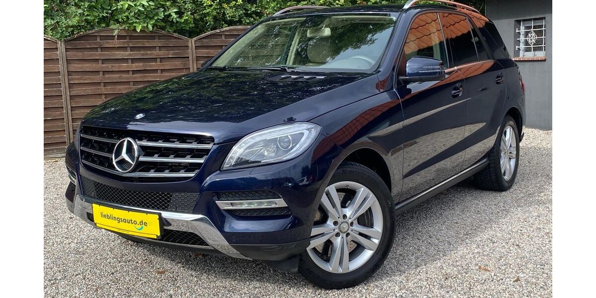 Mercedes-Benz ML 500 191.200 km 18.890 &euro; Leipzig-Rückmarsdorf (Burghausen-Rückmarsdorf) 04178