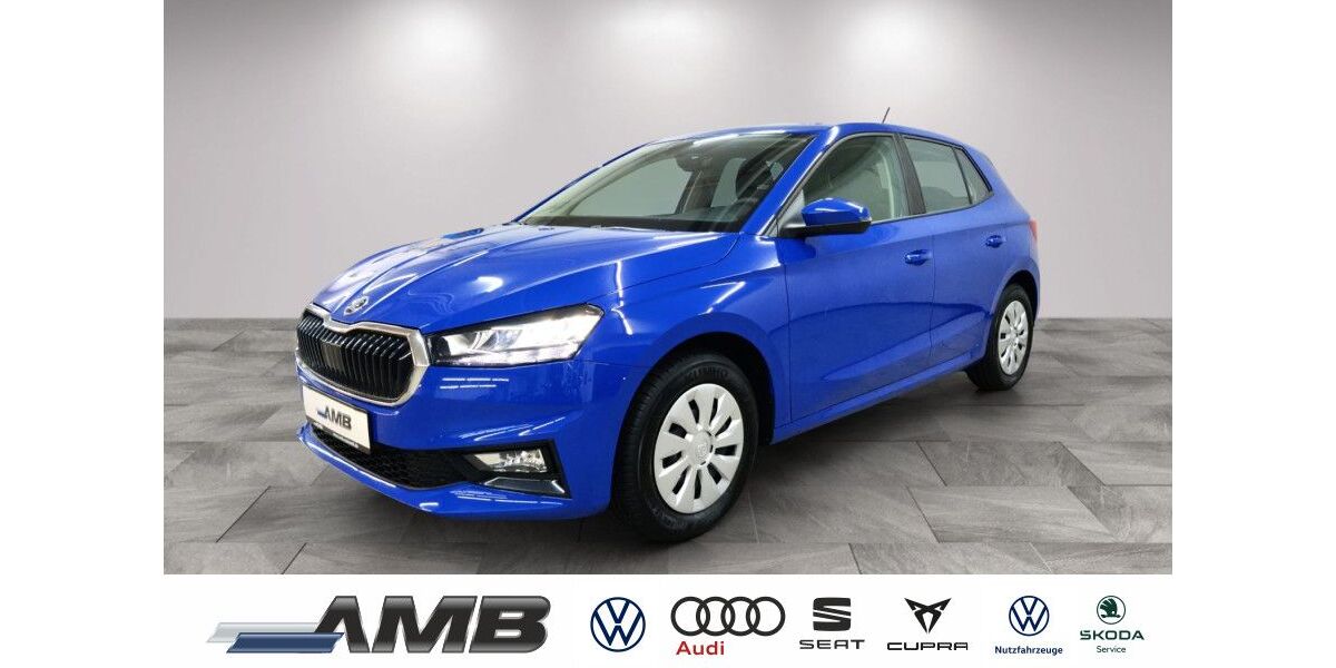 Skoda Fabia 12.000 km 19.470 &euro; Borna 04552