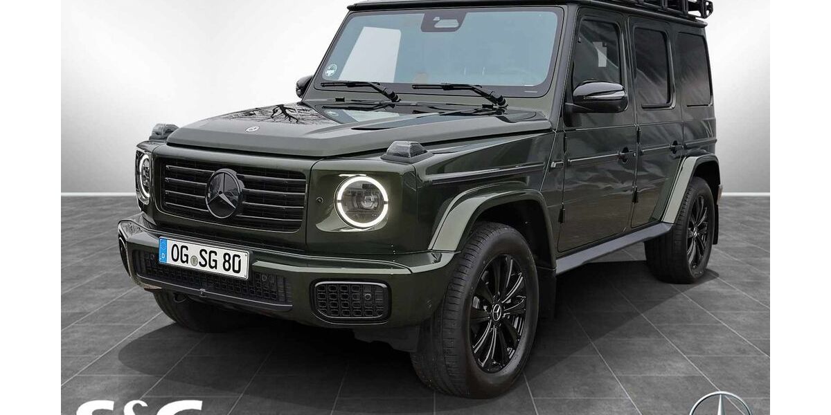 Mercedes-Benz G 450 10.000 km 173.100 &euro; Achern 77855