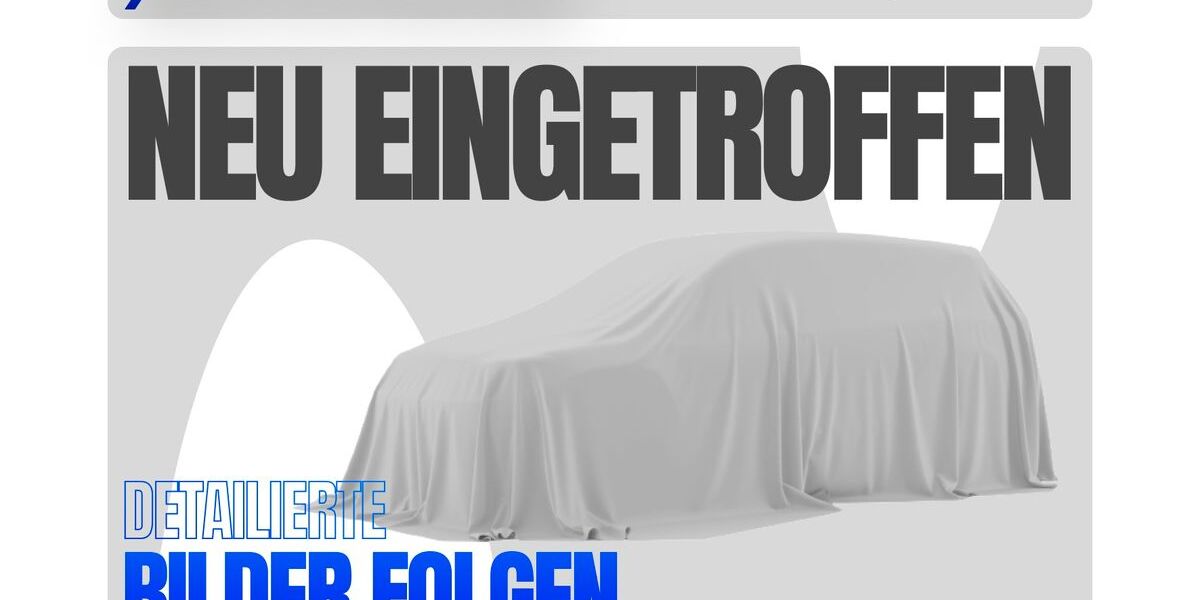 Fiat Punto 148.000 km 6.850 &euro; Frohburg 04654