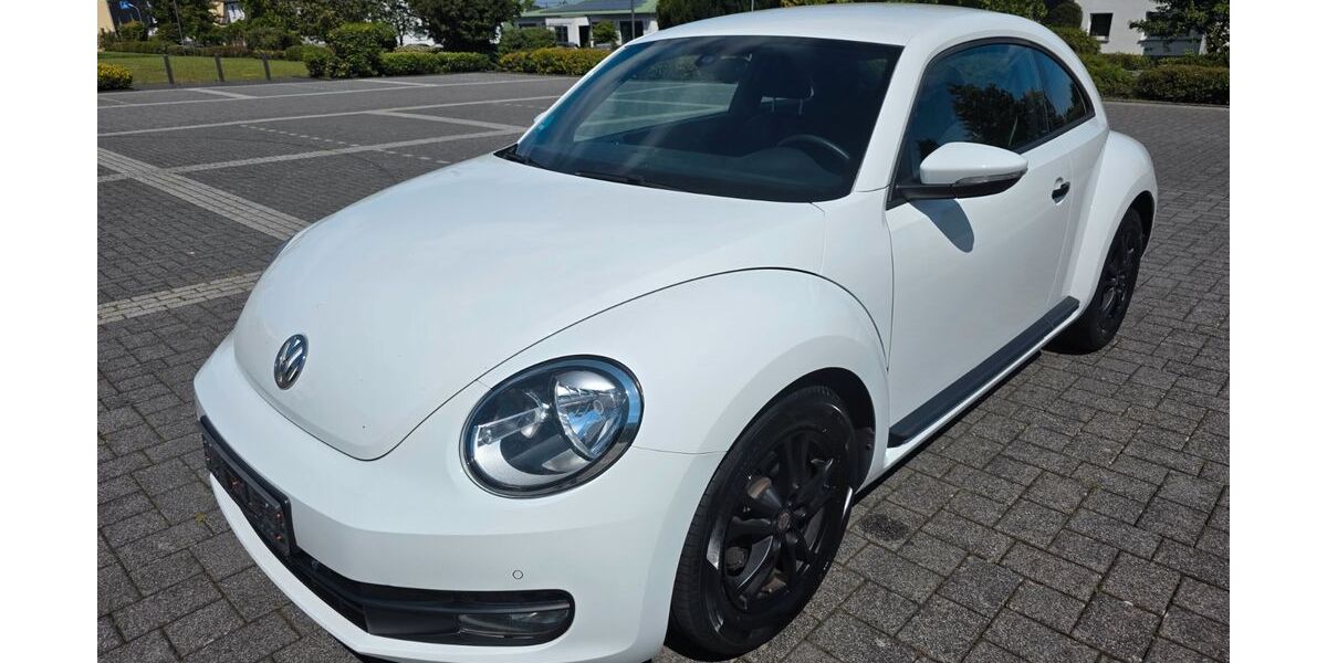 VW Beetle 138.000 km 7.999 &euro; Ebernhahn 56424