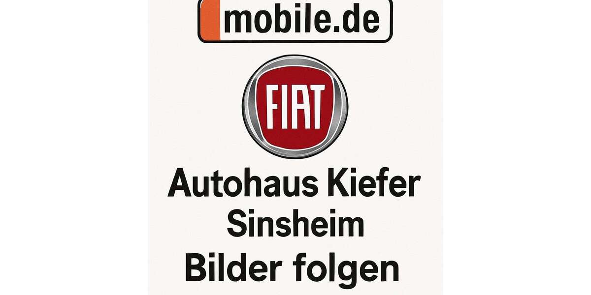 Fiat Doblo 98.000 km 10.590 &euro; Sinsheim 74889