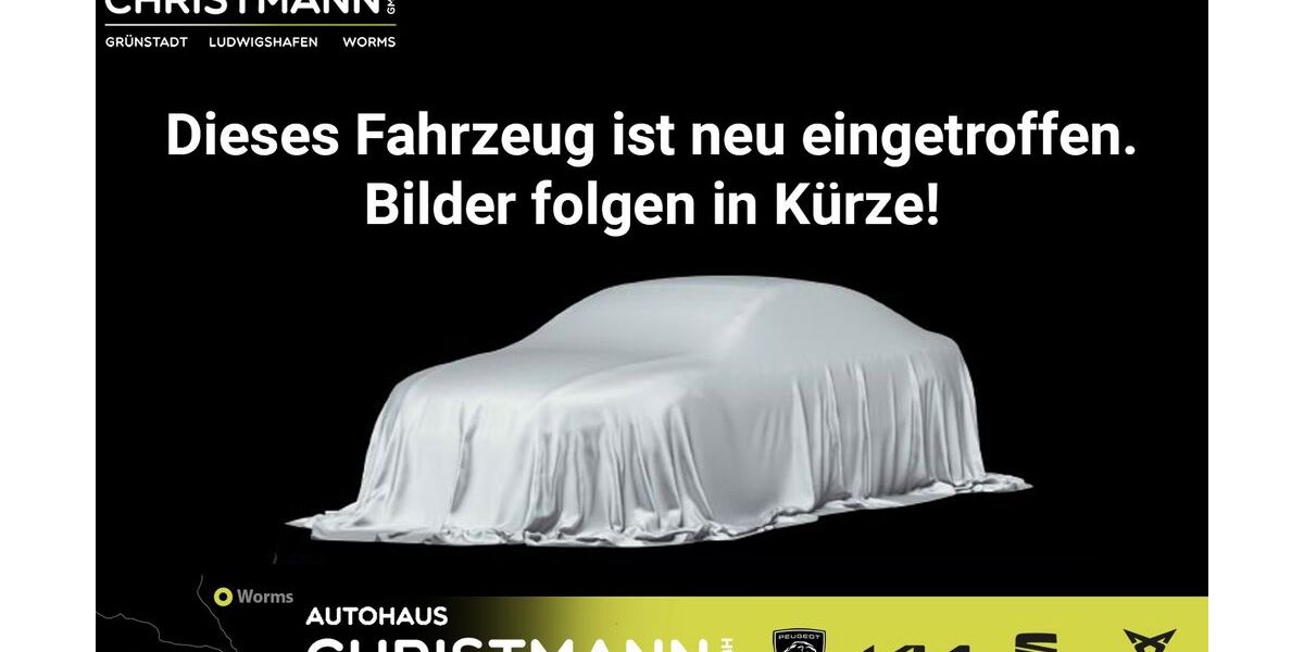 Cupra Ateca 16.605 km 38.990 &euro; Worms 67547