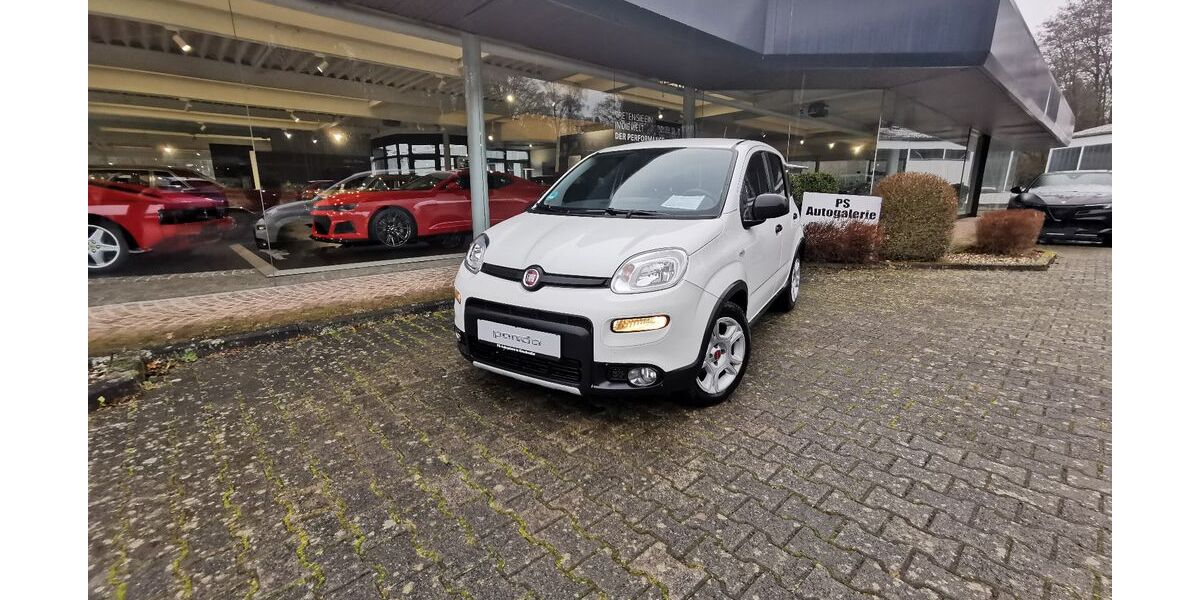 Fiat Panda 105.000 km 7.790 &euro; Kirschweiler 55743