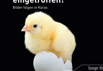 Mercedes-Benz EQE 34.006 km 50.790 &euro; Königsbrunn 86343