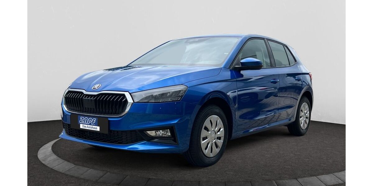 Skoda Fabia 4.500 km 17.490 &euro; Hof 95032