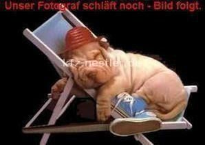 Audi Q8 11.500 km 96.900 &euro; Essen 45134