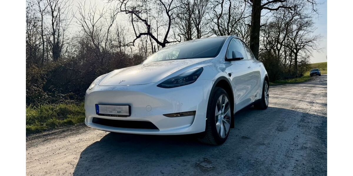 Tesla Model Y 66.500 km 33.899 &euro; Eppingen 75031
