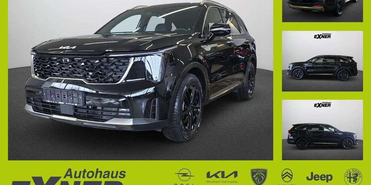 Kia Sorento 12.000 km 56.990 &euro; Hof 95032