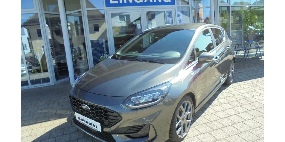 Ford Fiesta 17.100 km 17.990 &euro; Dieterskirchen 92542