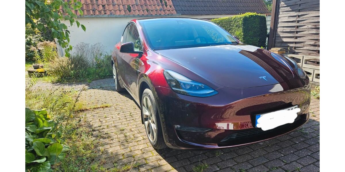 Tesla Model Y 30.000 km 38.200 &euro; Schönberg 24217