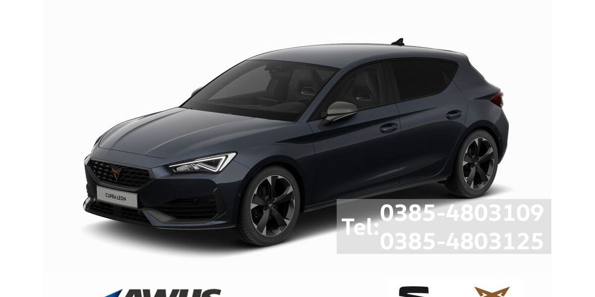 Cupra Leon 30.000 km 30.890 &euro; Schwerin 19057