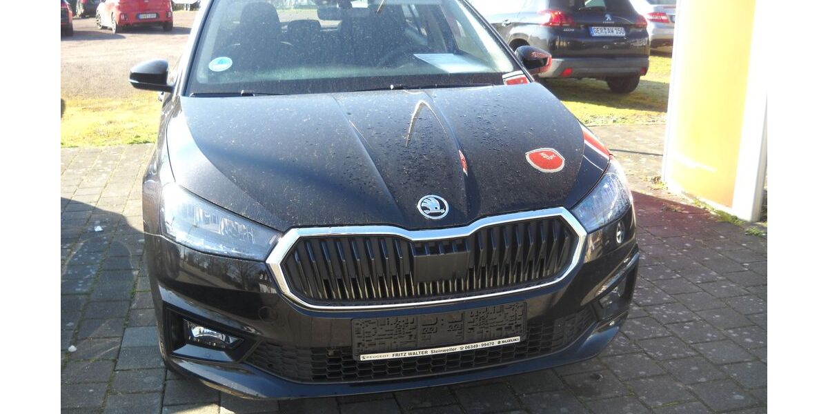 Skoda Fabia 20.600 km 17.900 &euro; Steinweiler 76872